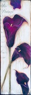 Floral_IMG_2782_063