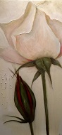 Floral_IMG_6371_088x190