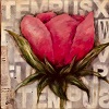 Floral_IMG_6464_100x100