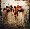 Spachtel_IMG_2925_100x100