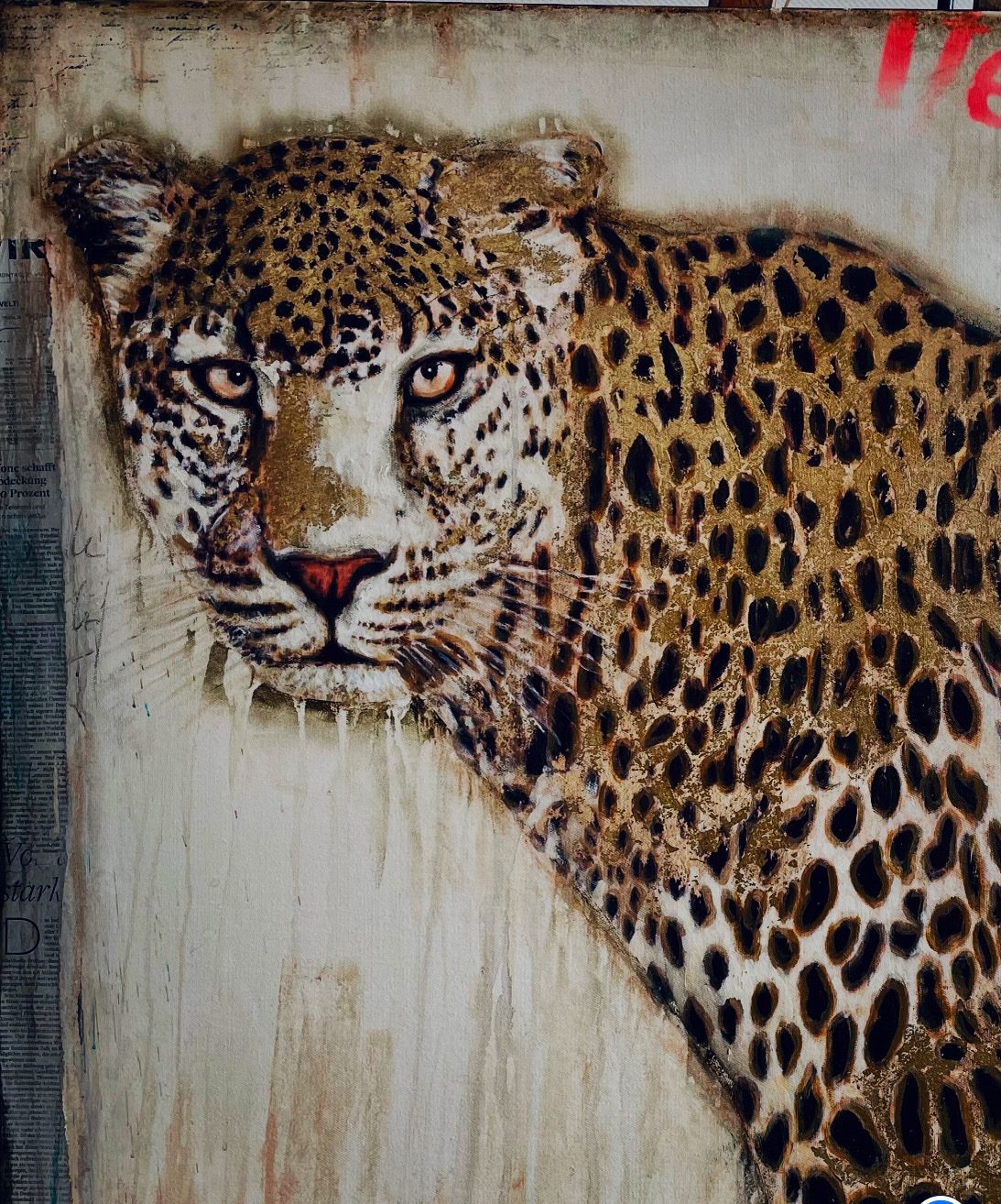 Leopard